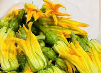 The Ultimate Snack: Crispy Fried Squash Blossoms