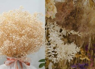 The Vase That Brings Misfortune: Unveiling the Ancient Secret.