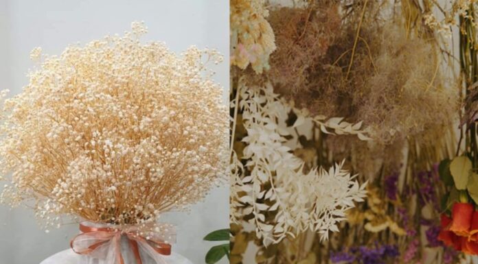 The Vase That Brings Misfortune: Unveiling the Ancient Secret.