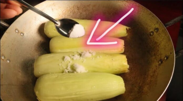 The Ultimate Guide to Cooking Corn: A Simple Trick for Perfectly Tender and Sweet Corn