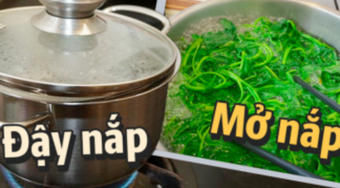 “The Great Veggie Debate: To Lid or Not to Lid?”