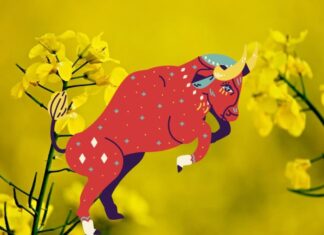 The 3 Most Devoted Zodiac Signs: Heaven’s Blessed Fortunes, Destined for a Prosperous Life