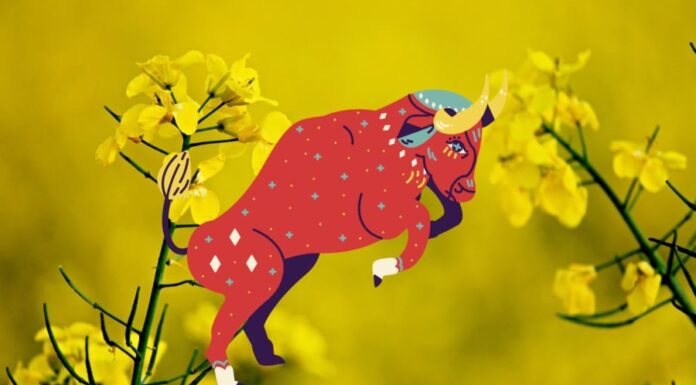 The 3 Most Devoted Zodiac Signs: Heaven’s Blessed Fortunes, Destined for a Prosperous Life