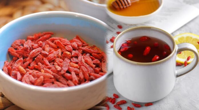 7 Amazing Benefits of Drinking Goji Berry Juice Daily