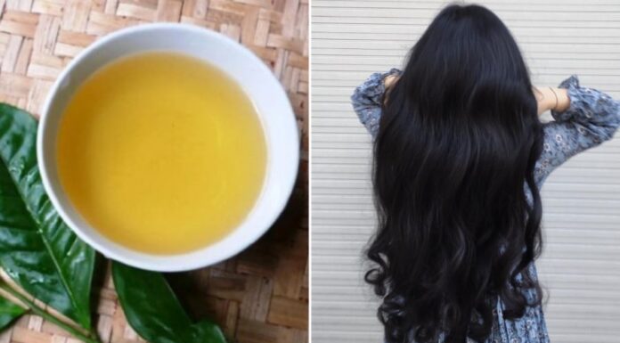 “The Ultimate Hair Loss Solution: Discover the Power of Vietnamese Herbal Leaves”