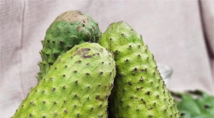 The Ultimate Guide to Heart-Healthy and Liver-Cleansing Fruits: Unveiling the Secret Behind the Vietnamese Traditional Tray of Five Fruits