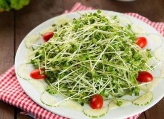 The Ultimate Guide to Vegetable Safety: Are You Eating Bacteria-Ridden Veggies?