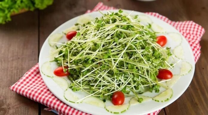 The Ultimate Guide to Vegetable Safety: Are You Eating Bacteria-Ridden Veggies?