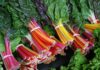 The Ultimate Superfood Trio: Vietnam’s National Vegetables Take the US by Storm