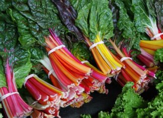 The Ultimate Superfood Trio: Vietnam’s National Vegetables Take the US by Storm