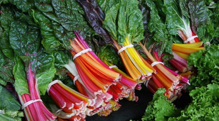 The Ultimate Superfood Trio: Vietnam’s National Vegetables Take the US by Storm