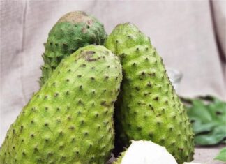 The ‘Unusual Yet Familiar’ Fruit: From Overlooked to Sought-After Delicacy with Surprising Nutritional Value