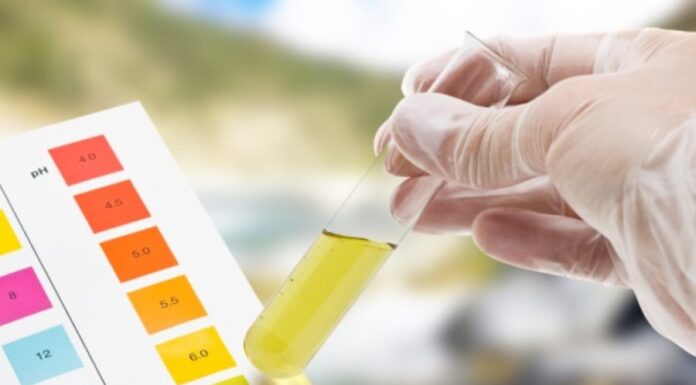 7 Signs of a Healthy Kidney: Are You Ticking All the Boxes?