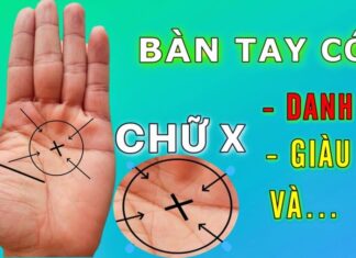 The World’s Elite: Unveiling the 3% with the Ultimate Palmistry Markings of Leadership and Excellence