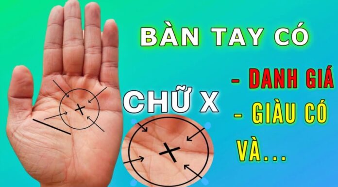 The World’s Elite: Unveiling the 3% with the Ultimate Palmistry Markings of Leadership and Excellence