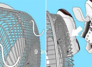 The Rainy Day Shoe Rescue: Two Quick Tricks to Dry Your Shoes and Keep Them Odor-Free