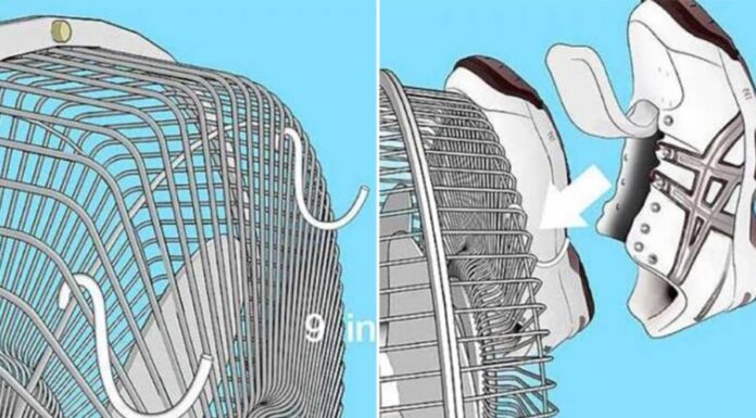 The Rainy Day Shoe Rescue: Two Quick Tricks to Dry Your Shoes and Keep Them Odor-Free