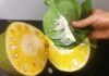 “Get Rid of That Lingering Jackfruit Smell: A Quick Fix for Your Hands”