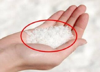 The Magic of Storing Salt in Your Fridge: A Time-Saving Hack with Amazing Benefits