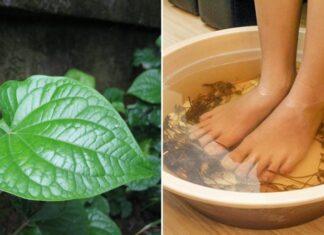Foot Soak with Pepperomia Leaf: What are the Benefits?