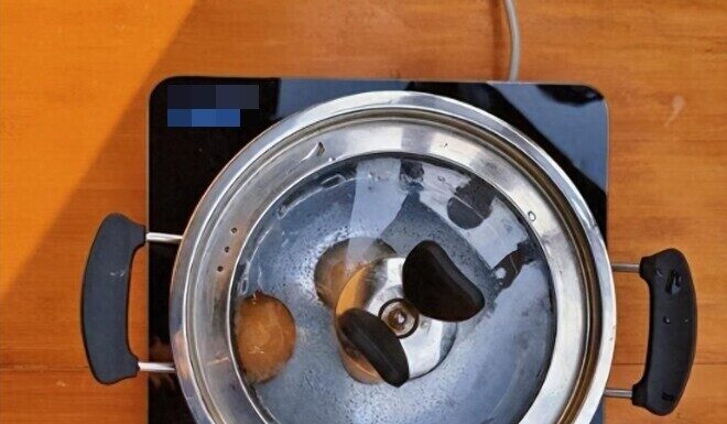 “Why Are More People Choosing This Alternative Appliance Over Gas or Induction Stoves?”