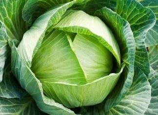 Winter’s Sweet Delicacy: This Vegetable is a Tasty and Healthy Treat for Diabetics.