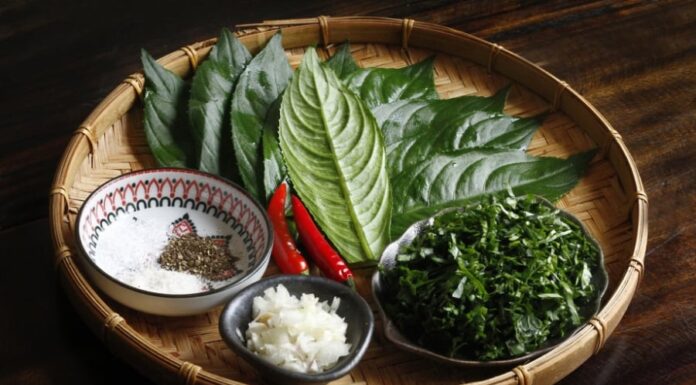 The Ultimate Guide to the Super Leaf: Elevate Your Culinary Experience with This Secret Ingredient