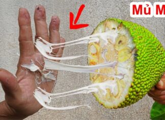 The Ultimate Guide to Removing Sticky Messes: Transform that Gunk-Ridden Hand into a Clean, Happy One with this Simple Hack