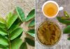 5 Surprising Health Benefits of Drinking Guava Leaf Tea