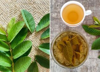 5 Surprising Health Benefits of Drinking Guava Leaf Tea