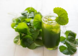 4 Popular and Affordable Drinks to Detox Your Body After the Lunar New Year Festivities