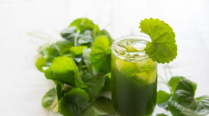 4 Popular and Affordable Drinks to Detox Your Body After the Lunar New Year Festivities