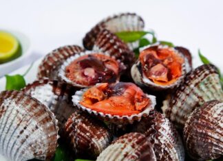 The Ultimate Guide to Grilling Blood Clams: 3 Tips for Succulent, Juicy Results