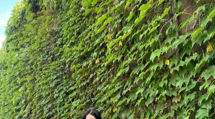 The “Boys Over Flowers” Star’s Ageless Beauty Secrets: A Peek Into Her Wardrobe Essentials