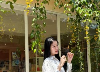 The Perfect Style Guide: Á hậu Phương Anh’s Elegant and Sophisticated Fashion Sense