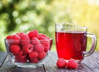 5 Drinks to Live a Longer Life: Expert-Approved Elixirs for Longevity