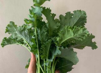 6 Vegetables to Improve Your Sleep Quality