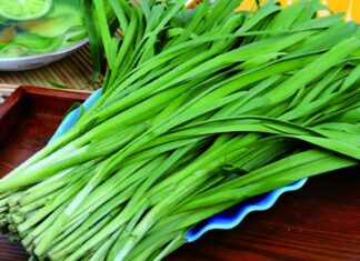 The Ultimate Superfood: A Vegetable Praised by Ancient Texts for its Superior Benefits.