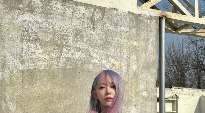 The Six Korean Beauties with a Flair for Fashion and Rosy Locks
