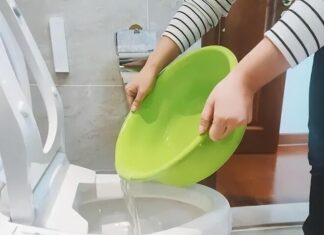 Why You Shouldn’t Flush Your Toilet With Buckets of Water: A Maintenance Expert’s Warning