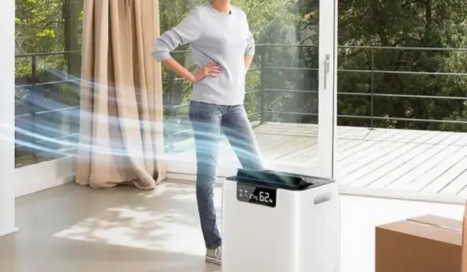 Why Are Dehumidifiers So Good at Absorbing Water? Watch Out for These Risks!