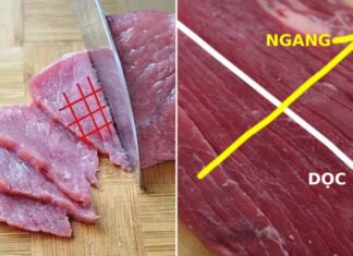 When to Cut Meat Against the Grain? When to Cut Meat with the Grain?