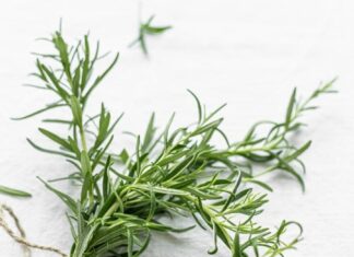 5 Familiar Herbs: The Ultimate “Skin Care Superfoods” for Daily Beauty Routines