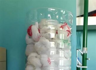 The Frugal 8: Transforming Trash into Treasure