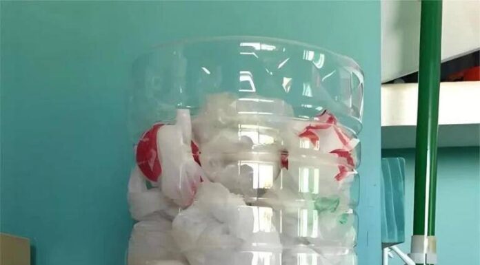 The Frugal 8: Transforming Trash into Treasure