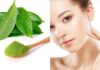 The Ultimate Guide to Anti-Aging: Unlocking the Power of Green Tea for a Youthful, Glowing Complexion