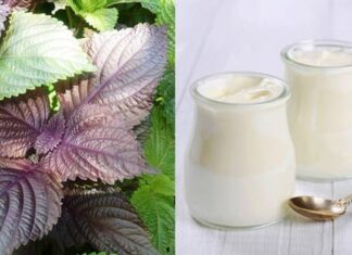 The Ultimate Guide to Radiant Skin: 2 Natural Whitening Tips for a Flawless Complexion