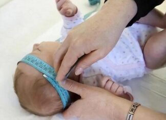 Does a Small-Headed Newborn Mean High Intelligence? 4 Signs Your Baby is Healthy and Bright