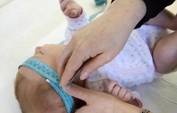 Does a Small-Headed Newborn Mean High Intelligence? 4 Signs Your Baby is Healthy and Bright