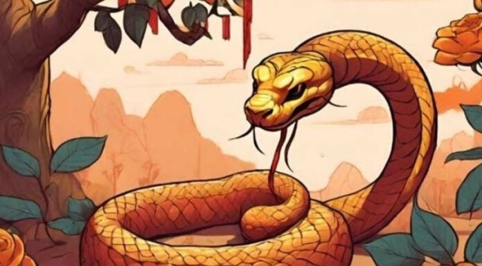 The Lucky Three: A Fortunate Age for Wealth and Love
From now until the full moon of the third lunar month, those aged three will be blessed with abundance. This is a time of prosperity, where one can feast on the luck of their ancestors, attracting wealth and good fortune.